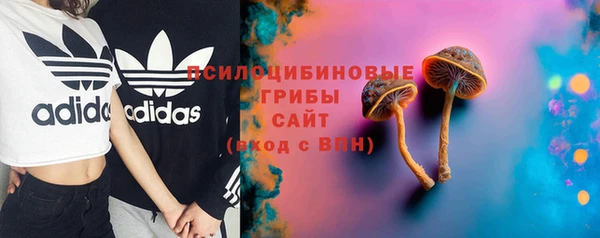 трава Арсеньев