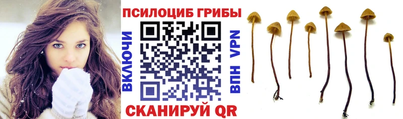 Галлюциногенные грибы прущие грибы  кракен   Невинномысск 