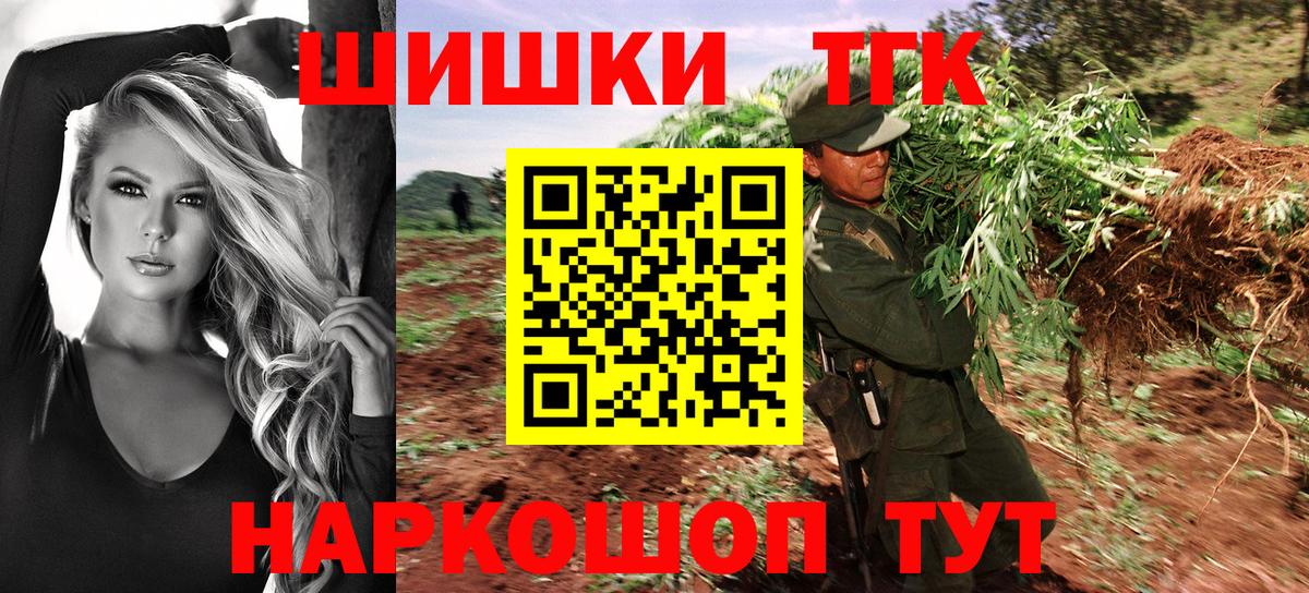 Конопля сатива Невинномысск
